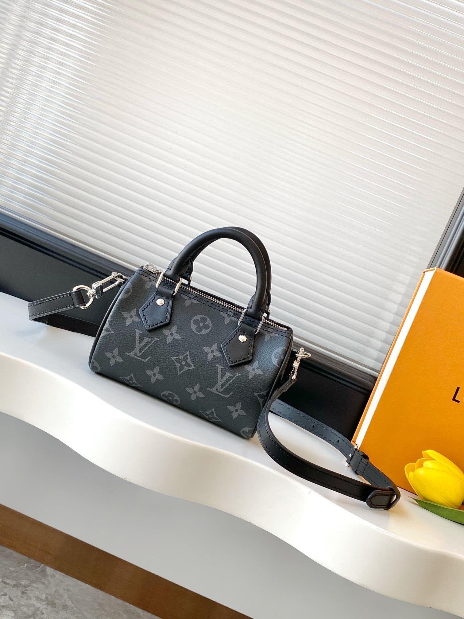 Louis Vuitton M26573 Nano Speedy