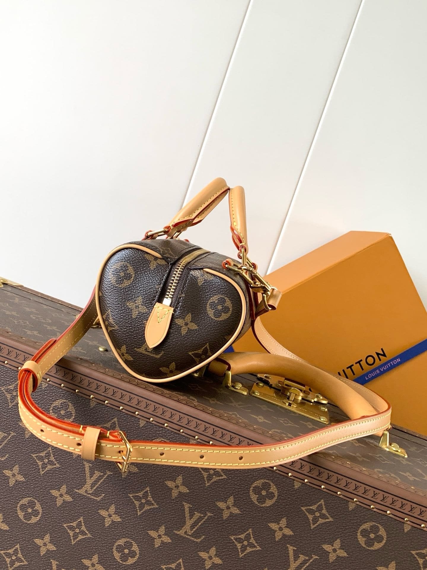 Louis Vuitton M13226 Nano Speedy Dating