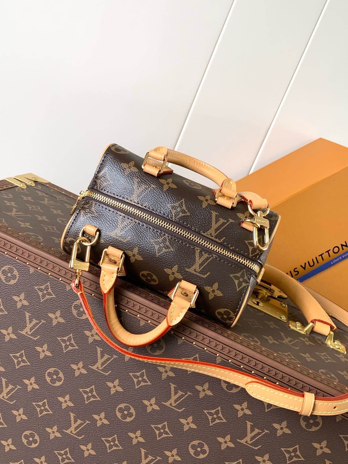Louis Vuitton M13226 Nano Speedy Dating
