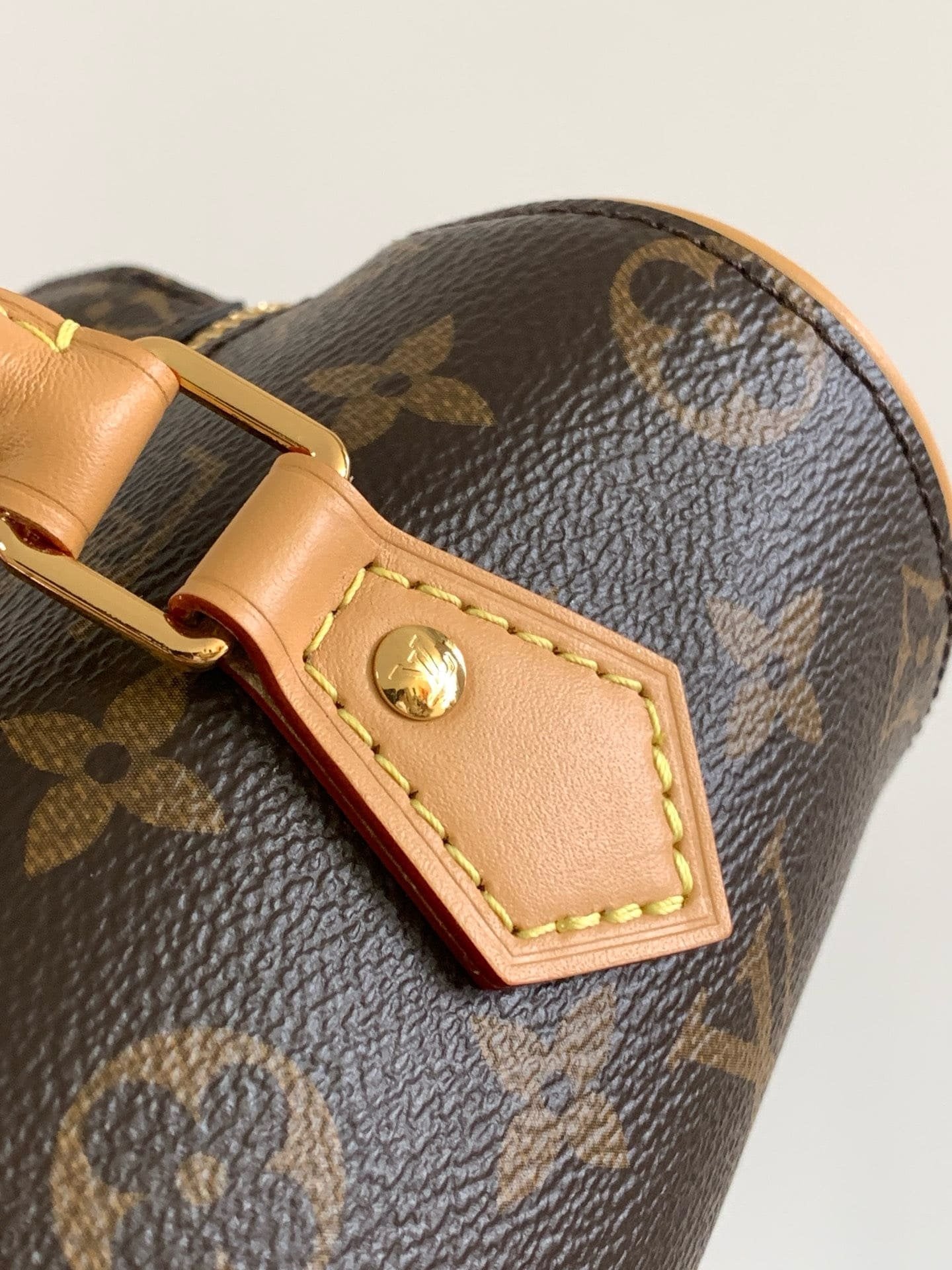Louis Vuitton M13226 Nano Speedy Dating