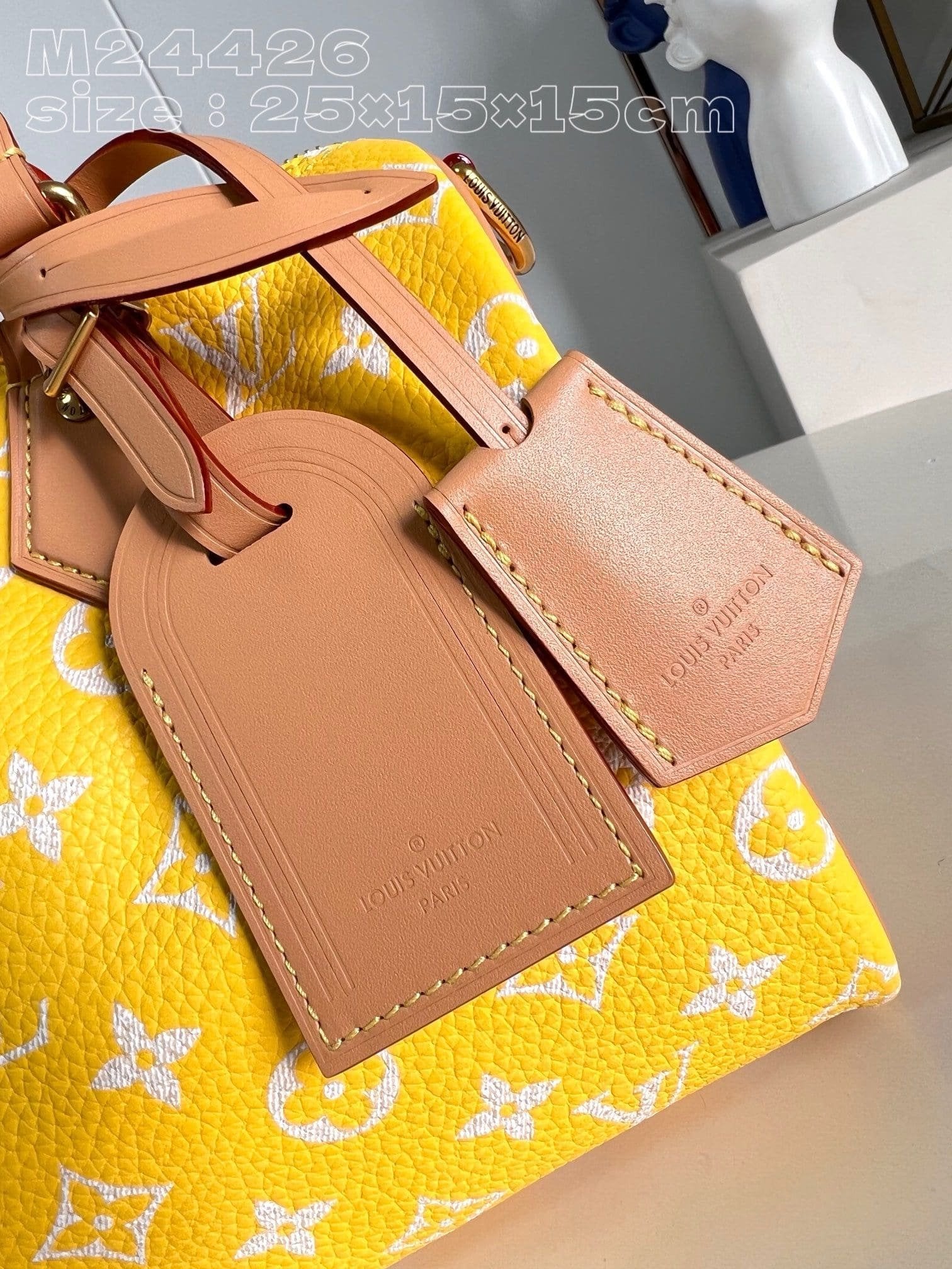 Louis Vuitton M24426 Speedy P9 Bandoulière 25