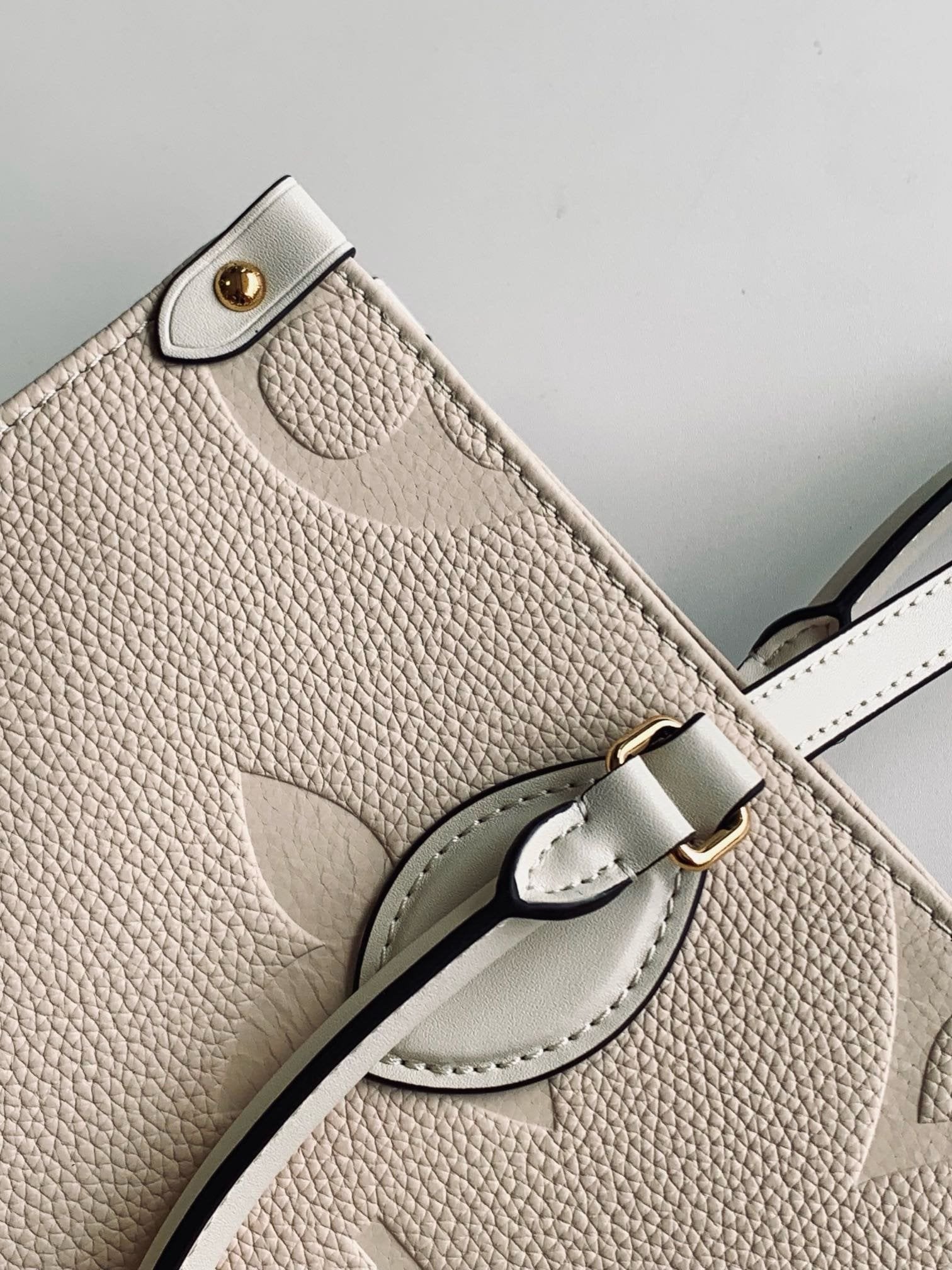 Louis Vuitton M46531 OnTheGo MM