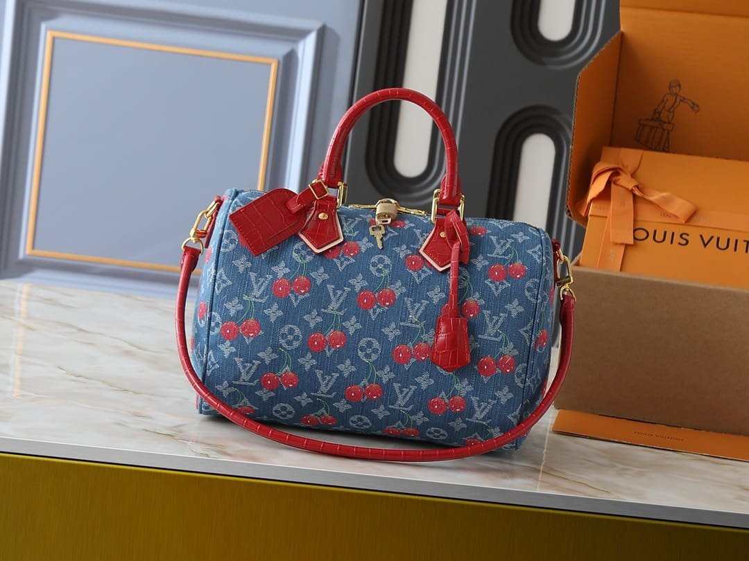 Louis Vuitton N87627 Bolsa LV x TM Speedy Soft 30