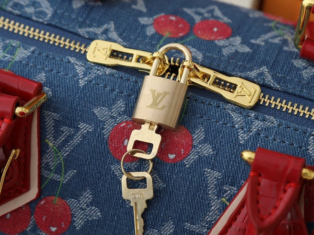 Louis Vuitton N87627 Bolsa LV x TM Speedy Soft 30