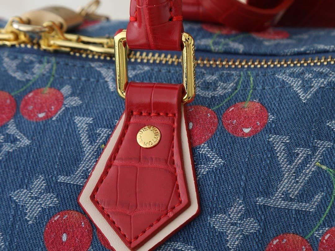 Louis Vuitton N87627 Bolsa LV x TM Speedy Soft 30