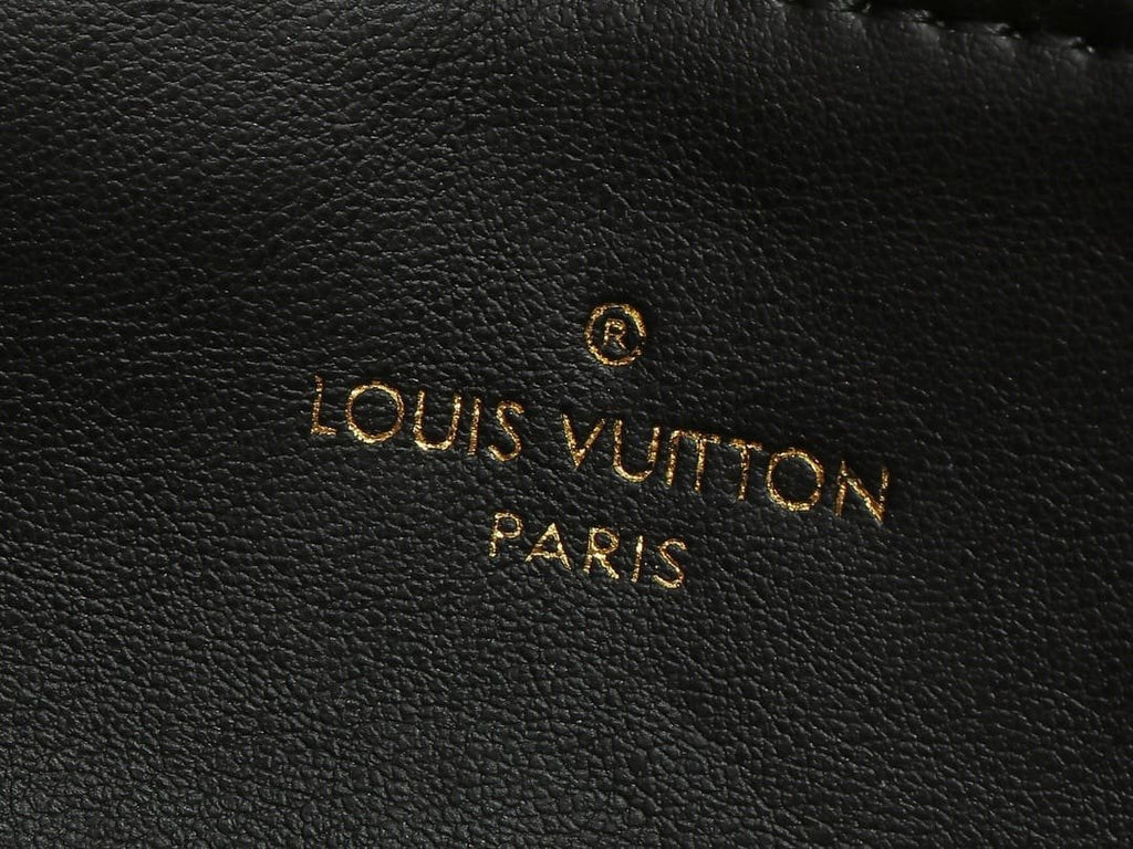 Louis Vuitton M83359 Pochette Coussin