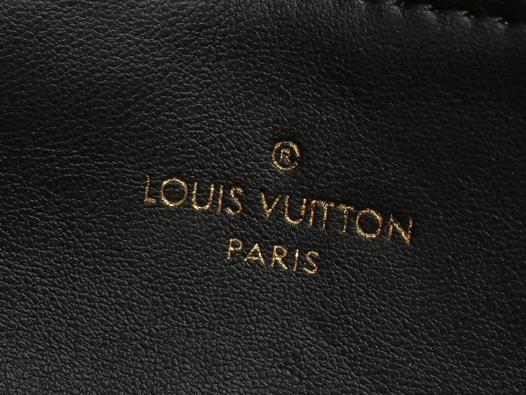Louis Vuitton M83359 Pochette Coussin