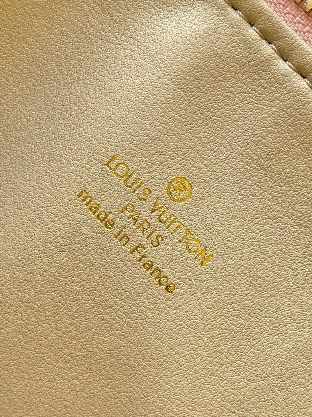 Louis Vuitton M13313 Coussin PM