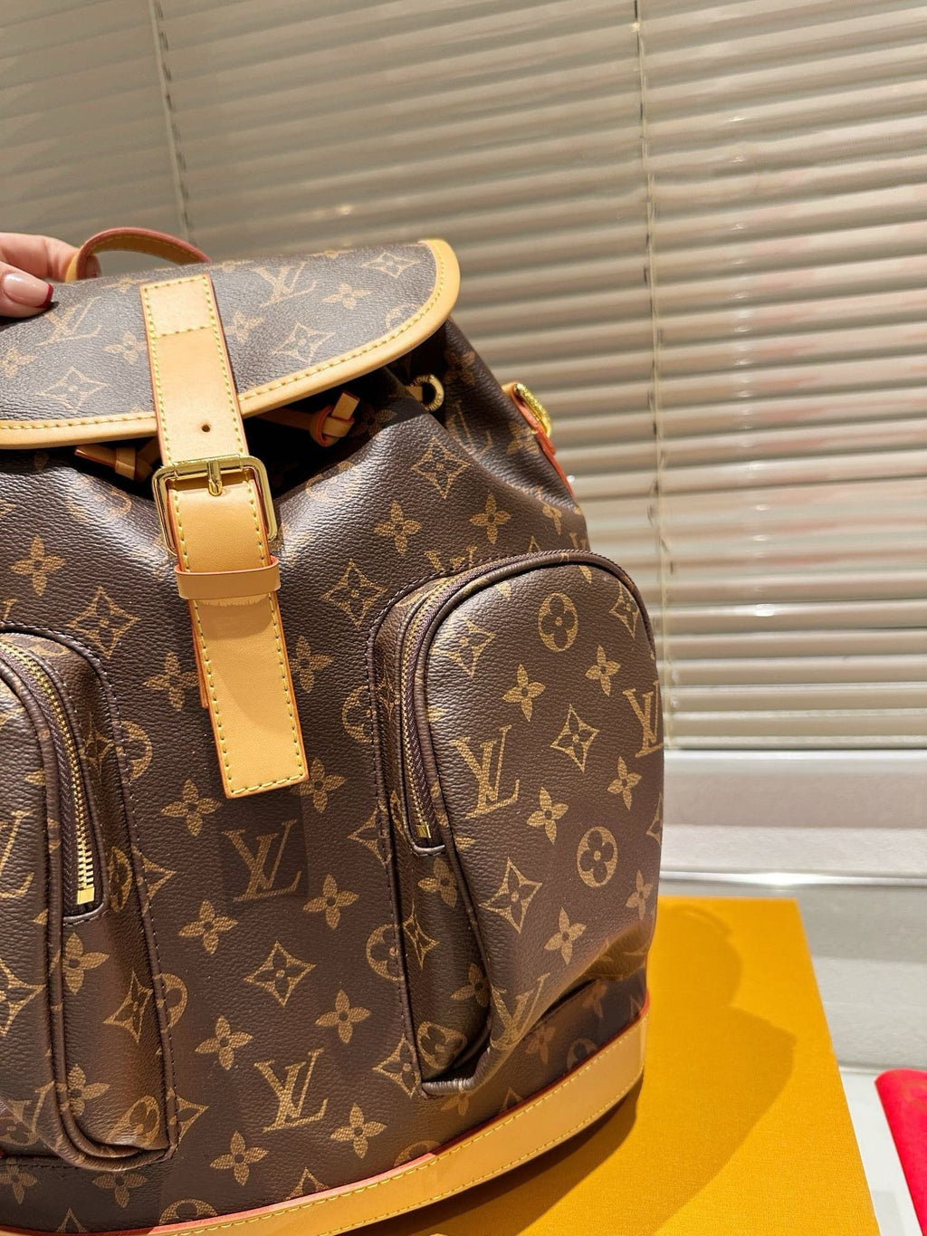 LOUIS VUITTON BACKPACKS