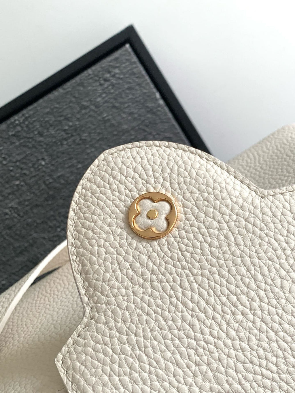 Louis Vuitton M24684 CAPUCINES BB BAG