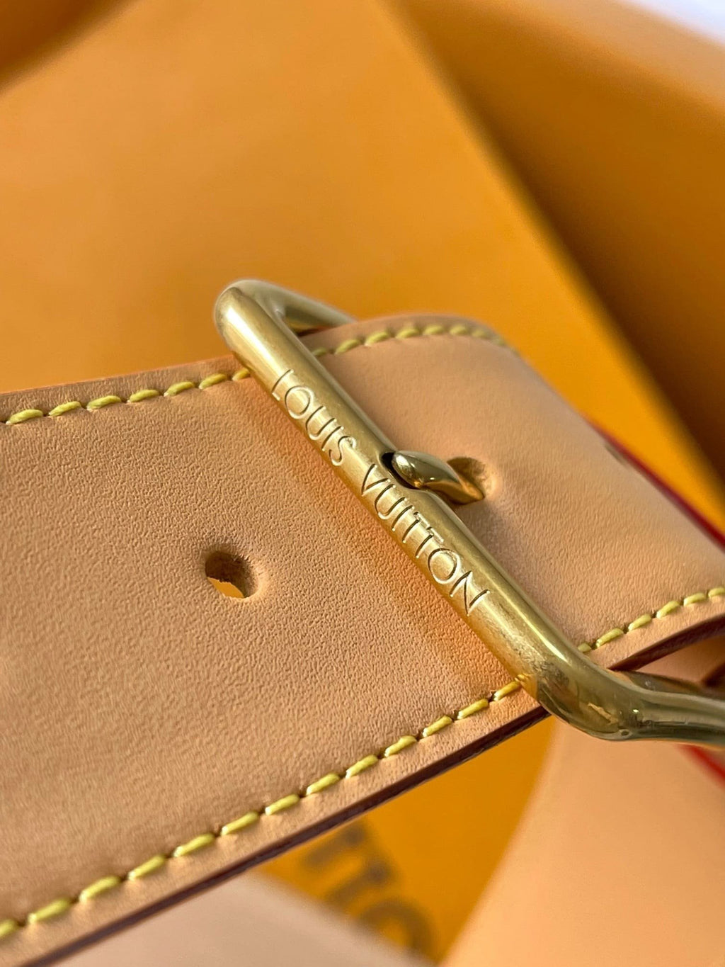 Louis Vuitton M24858 Rush Bumbag