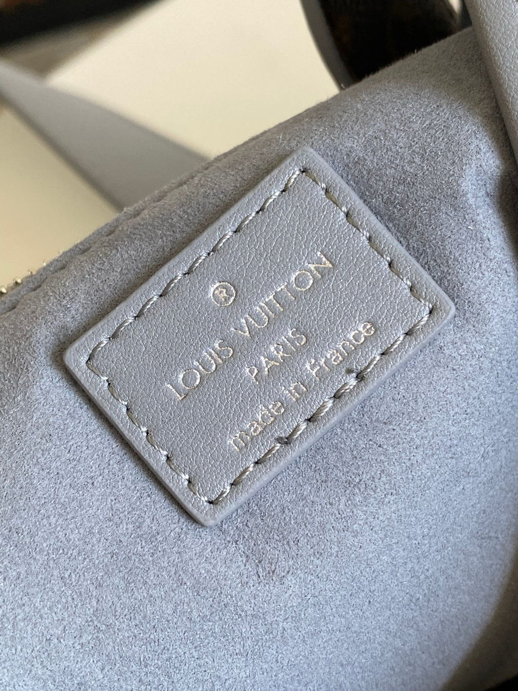 Louis Vuitton M12579 CarryAll Cargo PM