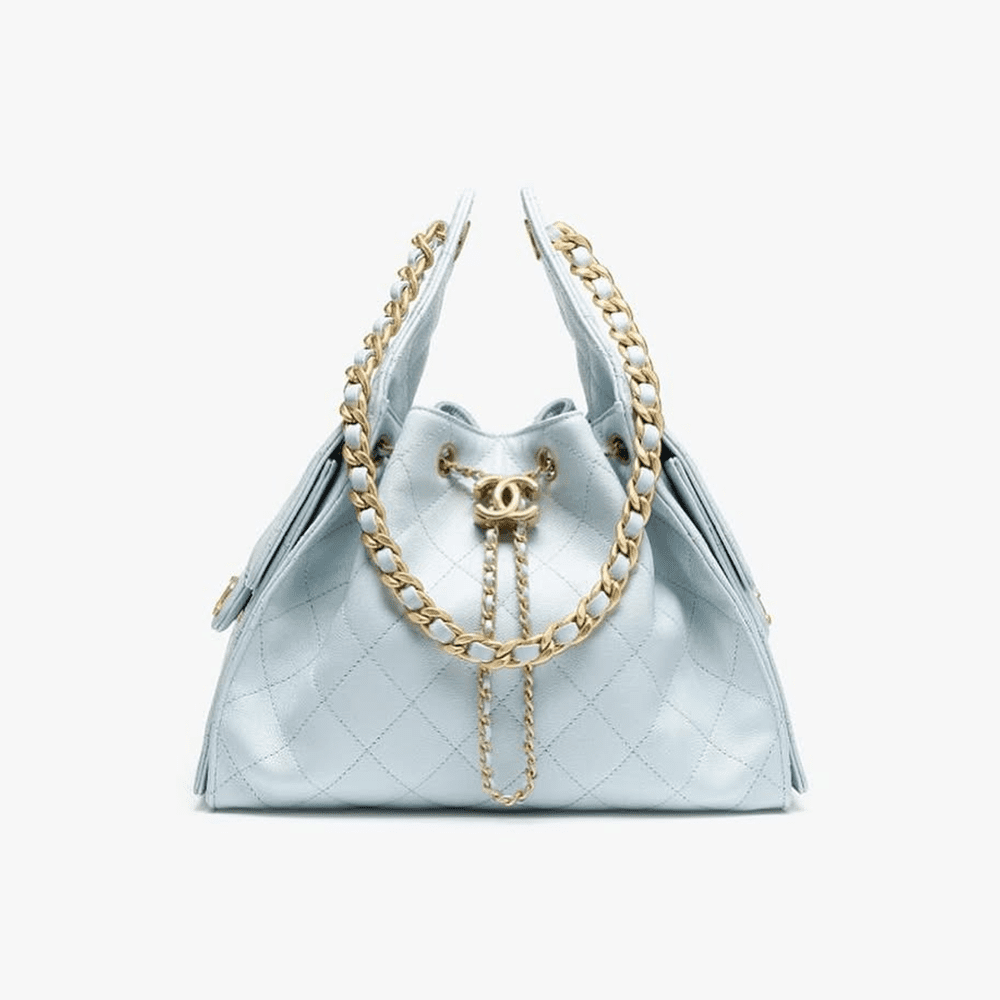CHANEL 25 Small Handbag