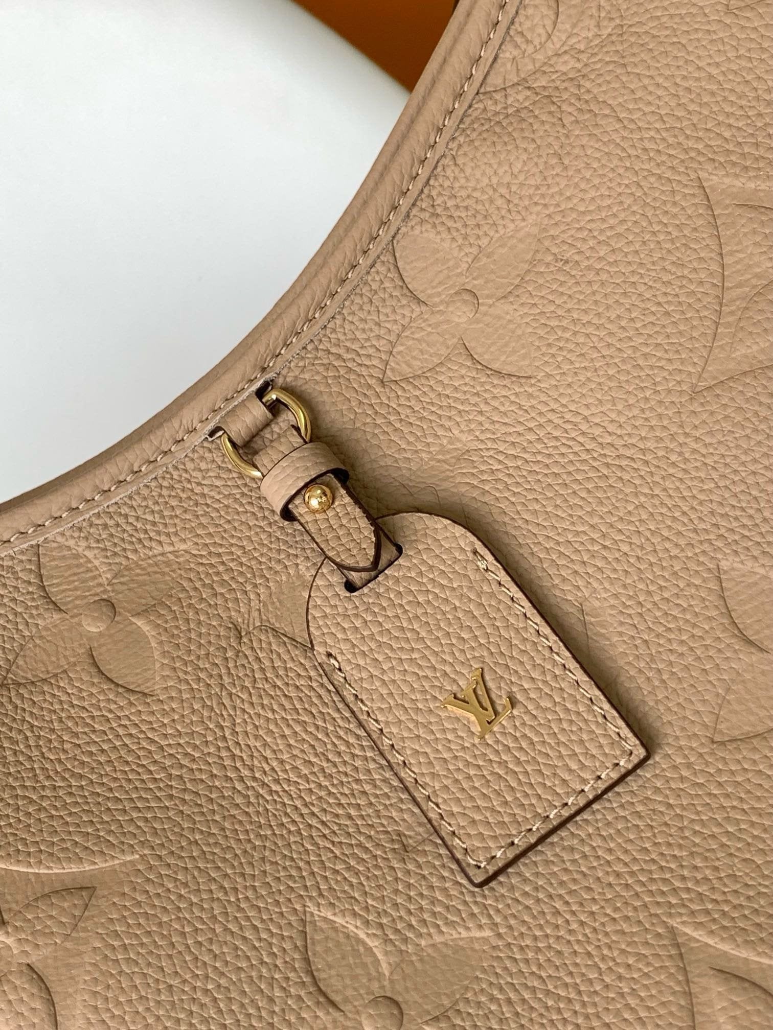 Louis Vuitton M46292 CarryAll MM