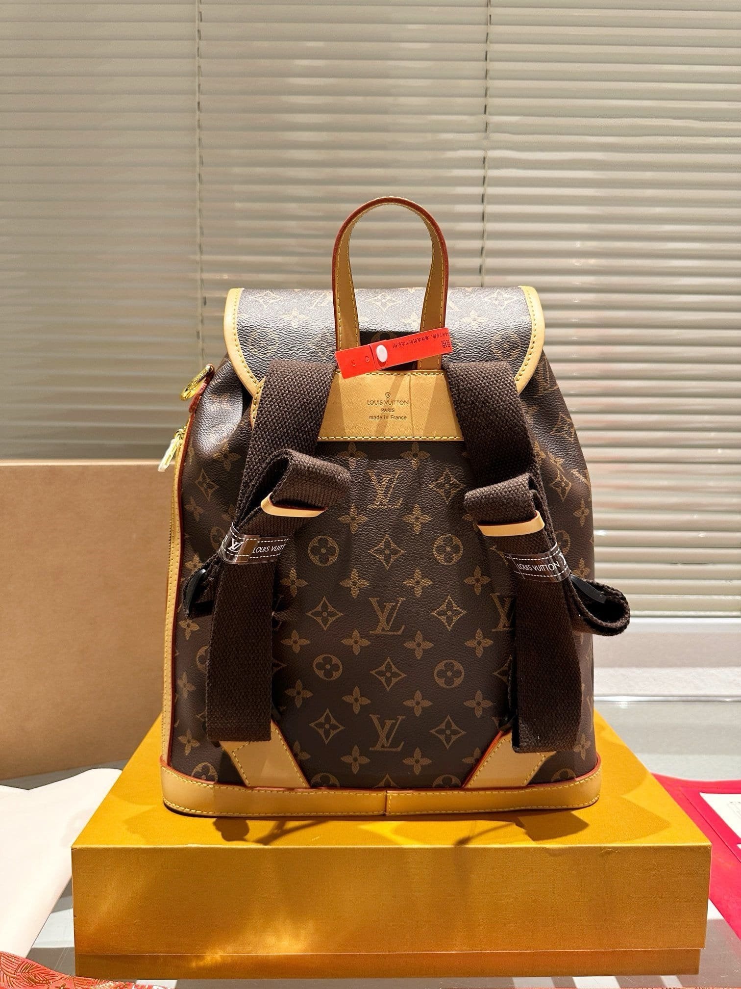 LOUIS VUITTON BACKPACKS