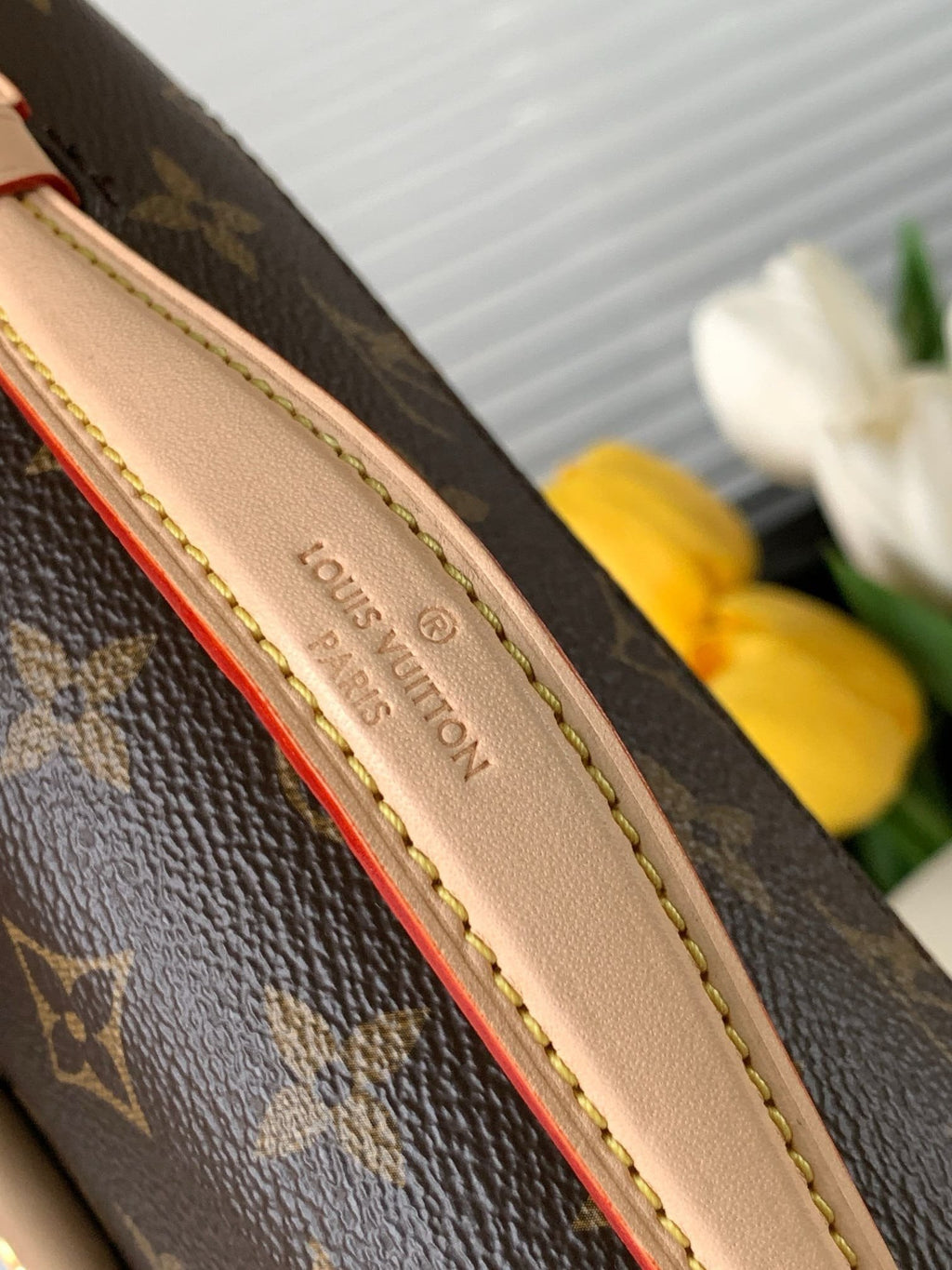 Louis Vuitton M46279 Pochette Métis East West