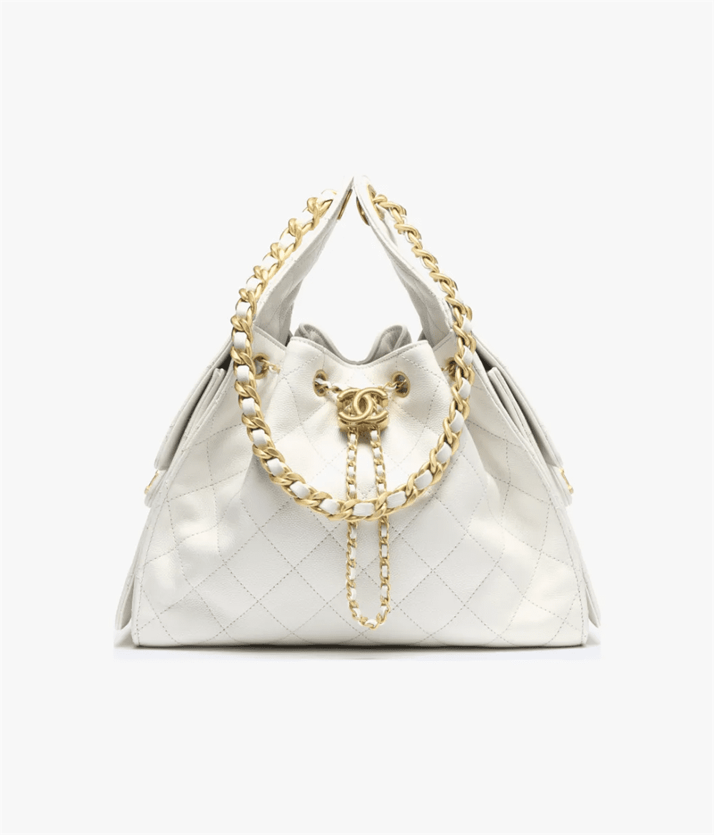 CHANEL 25 Small Handbag