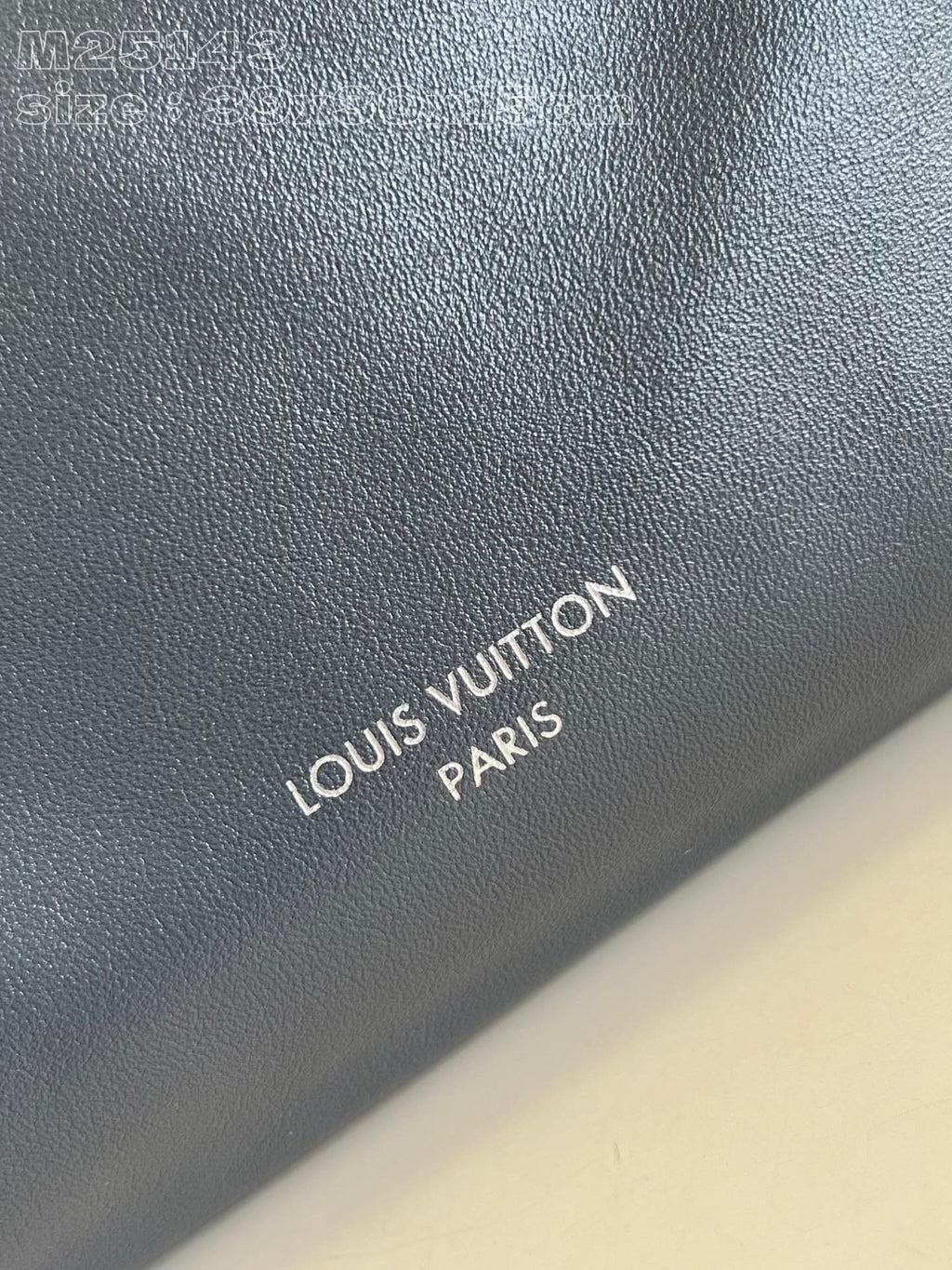 Louis Vuitton M12583 CarryAll Dark MM