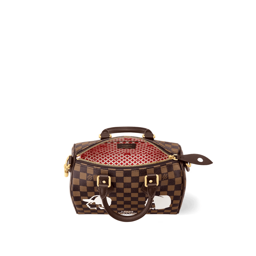 Louis Vuitton N40772 Speedy 25 Bandoulière