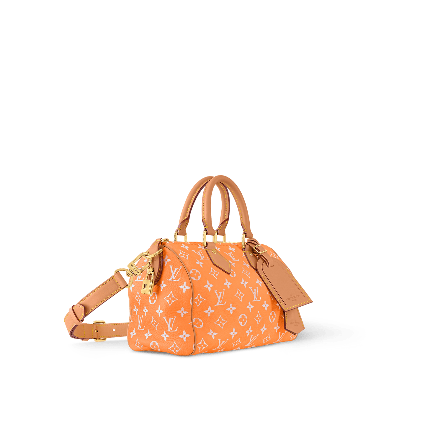 Louis Vuitton M13912 SPEEDY P9 BANDOULIÈRE 25 BAG