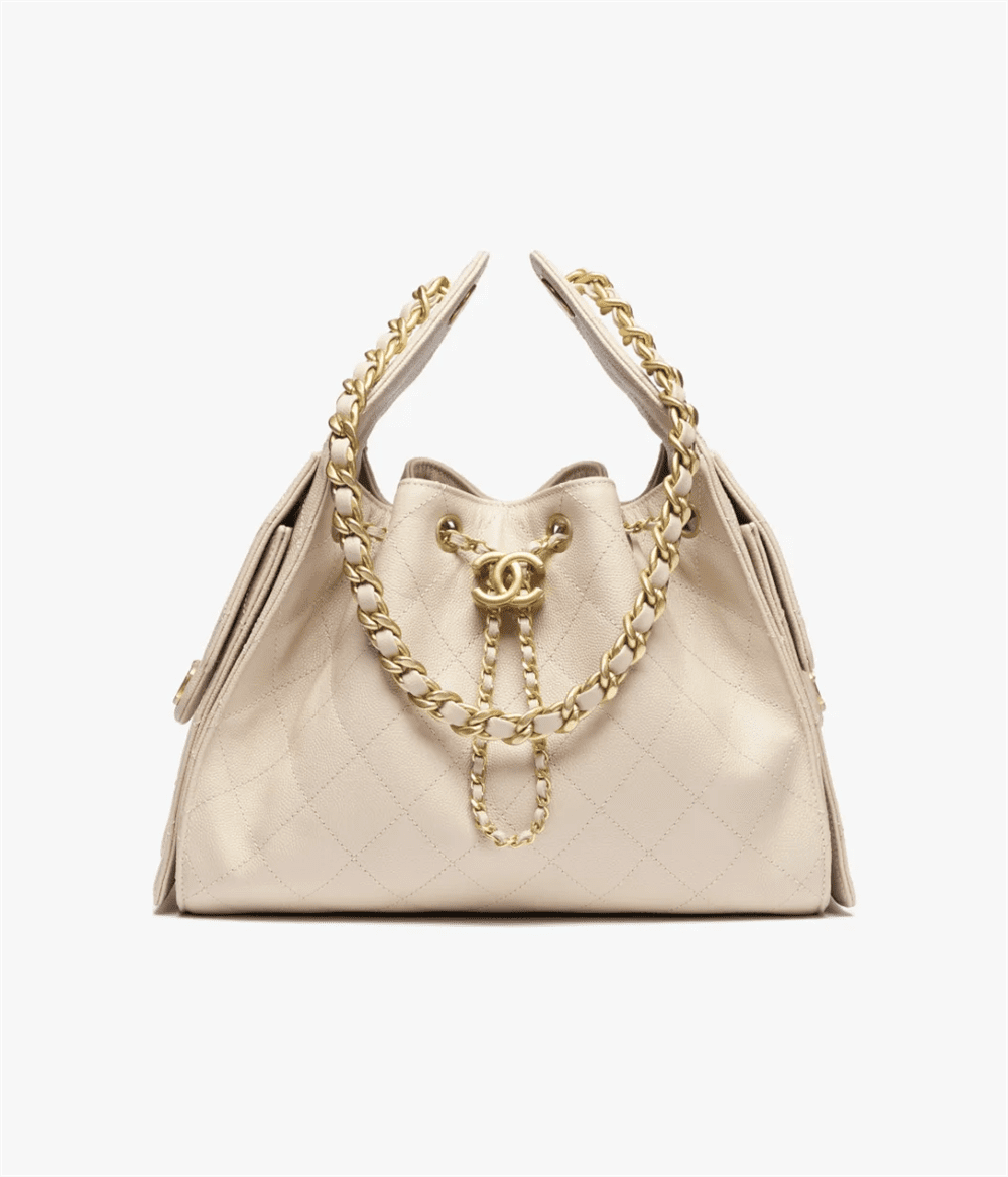 CHANEL 25 Small Handbag