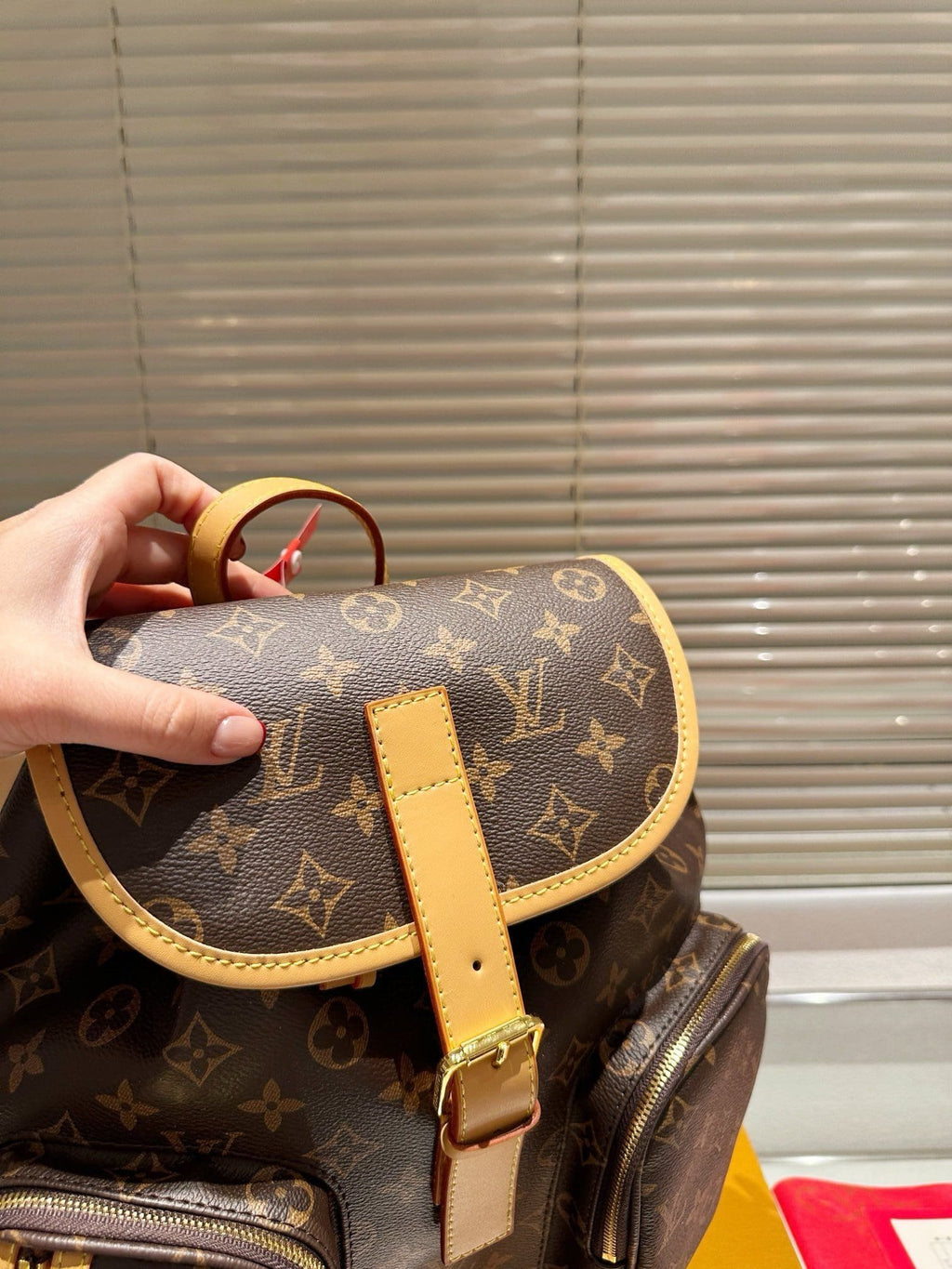 LOUIS VUITTON BACKPACKS