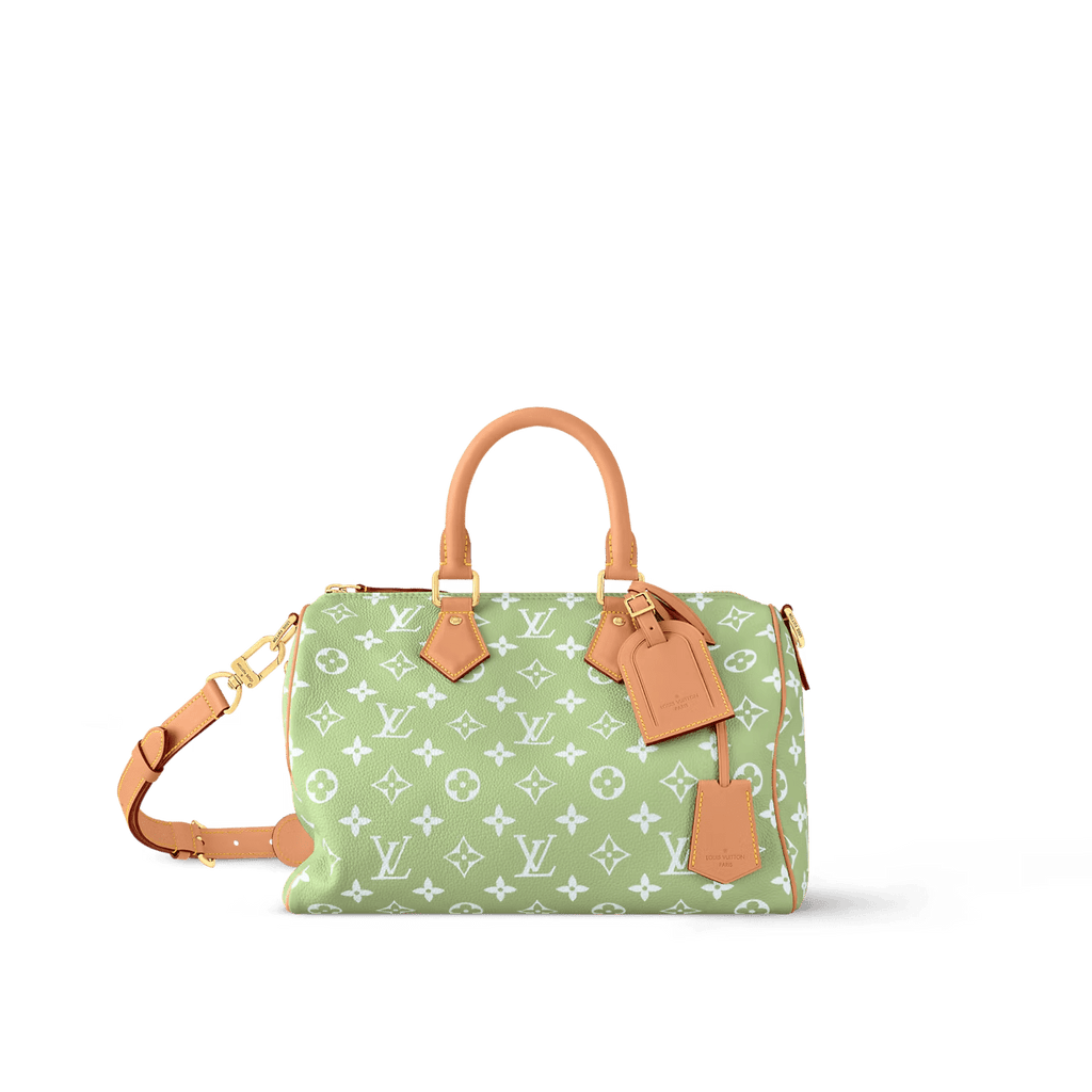 Louis Vuitton M14064 SPEEDY P9 BANDOULIÈRE 30 BAG (top quality)