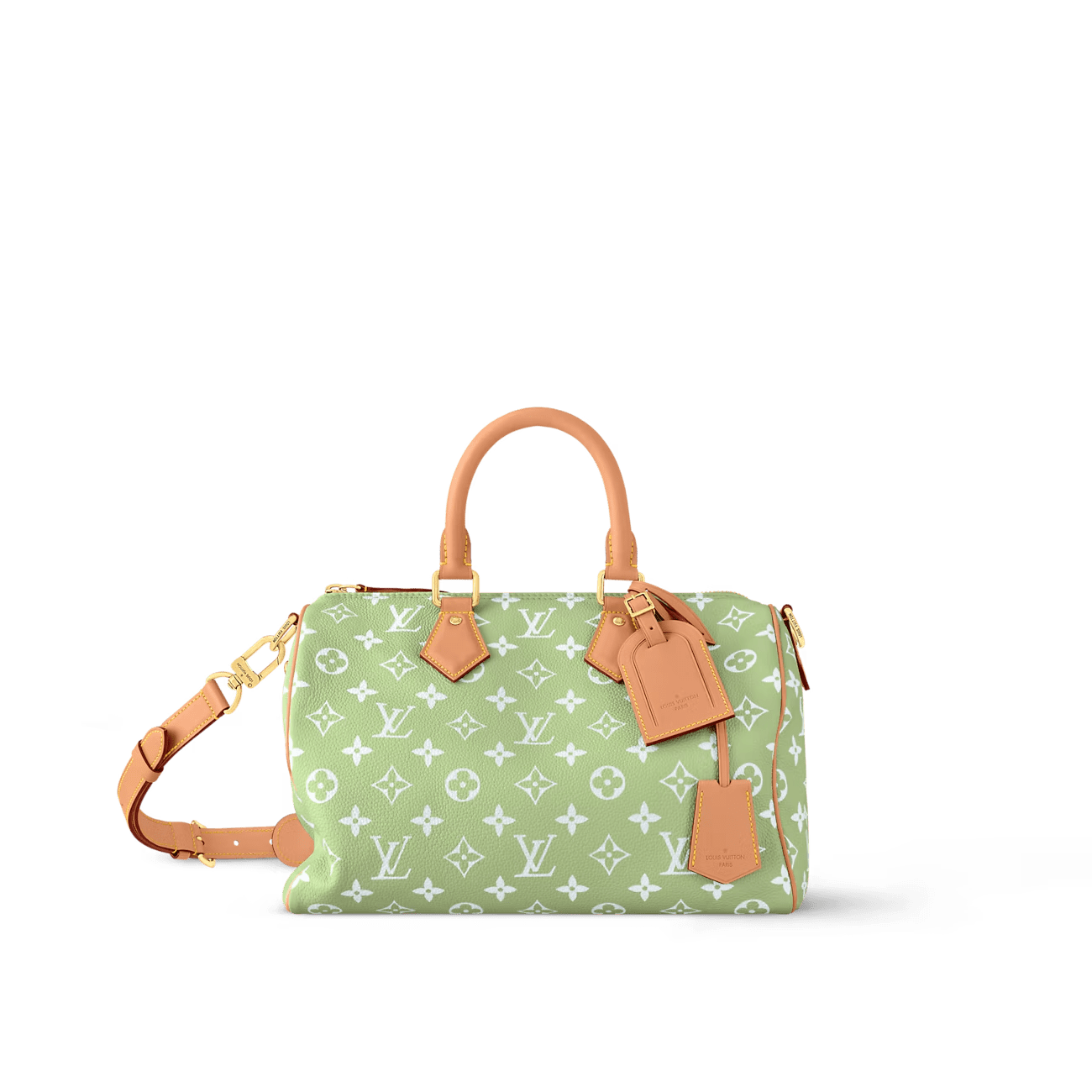 Louis Vuitton M14064 SPEEDY P9 BANDOULIÈRE 30 BAG (top quality)