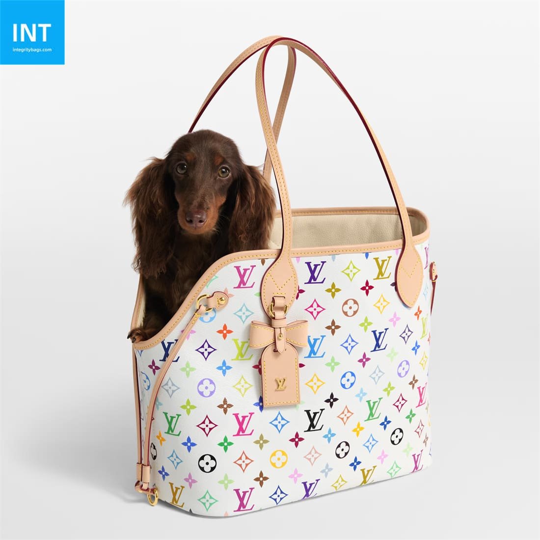 Louis Vuitton M27839 LV x TM Neverwoof