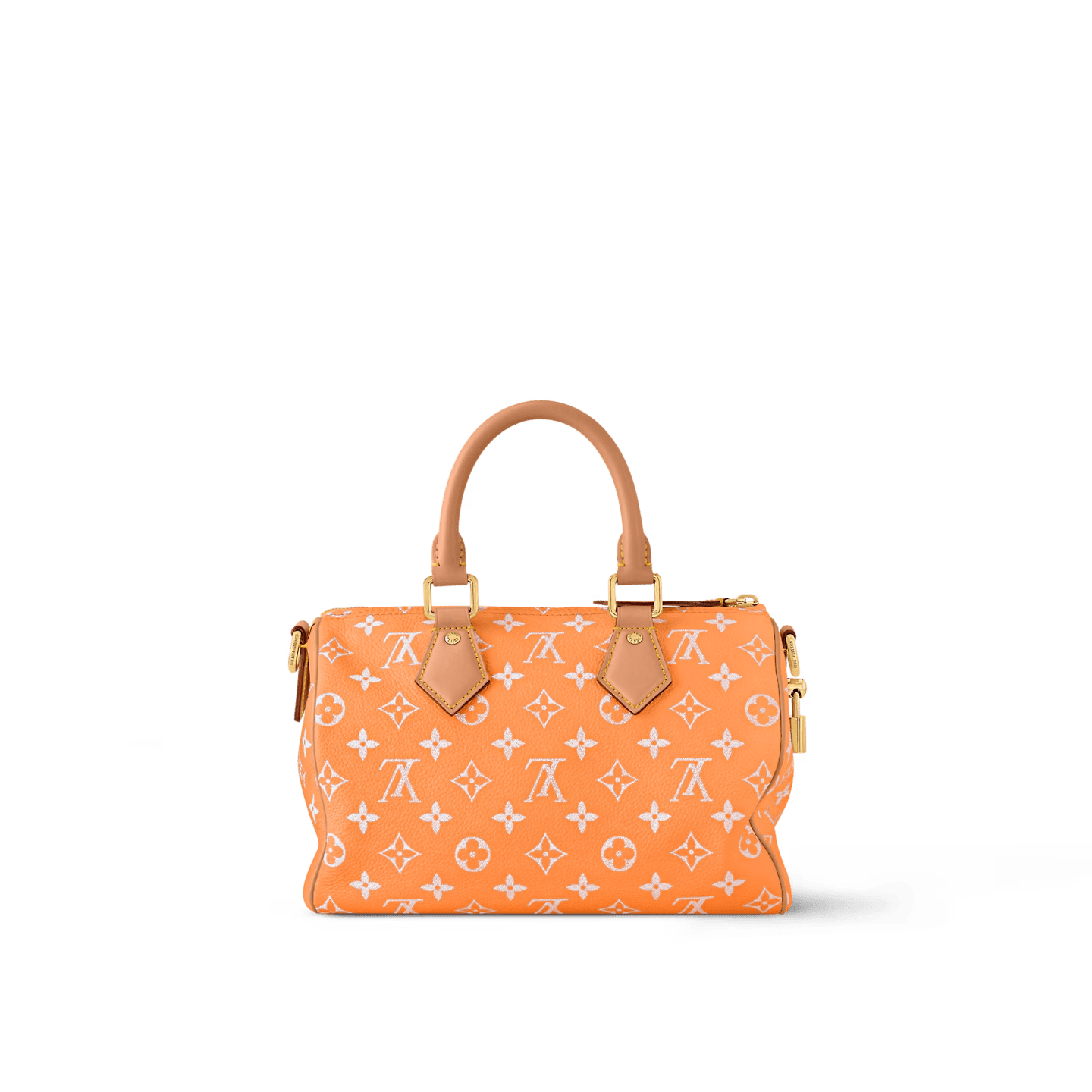 Louis Vuitton M13912 SPEEDY P9 BANDOULIÈRE 25 BAG