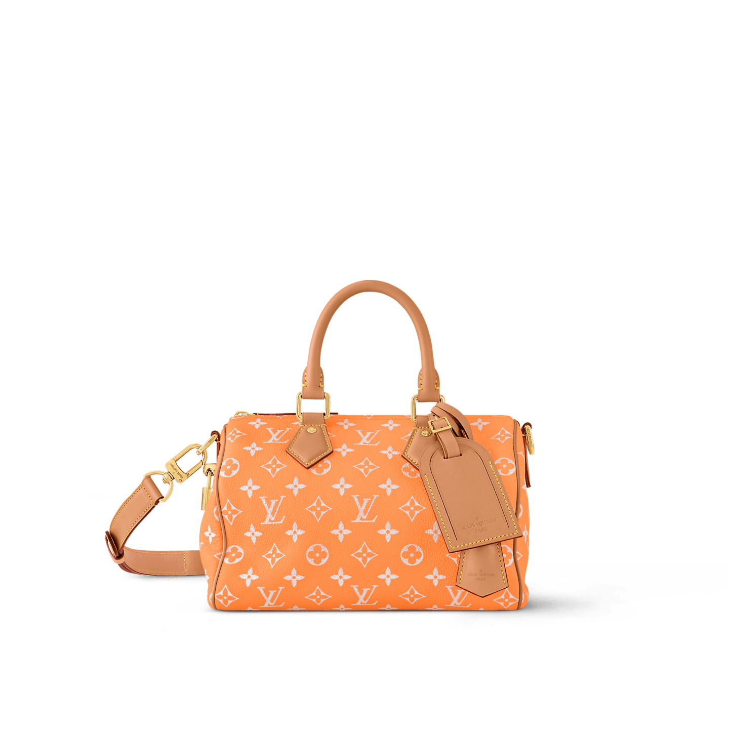 Louis Vuitton M13912 SPEEDY P9 BANDOULIÈRE 25 BAG