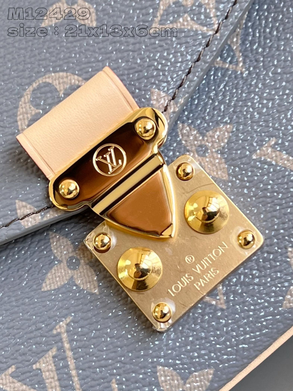 Louis Vuitton M12429 Pochette Métis East West