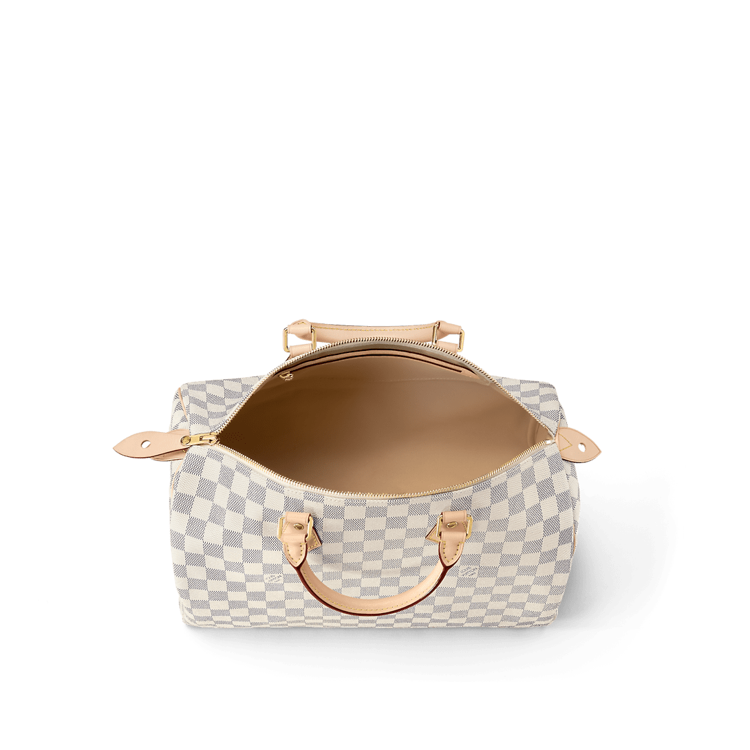 Louis Vuitton N41369 Speedy 35