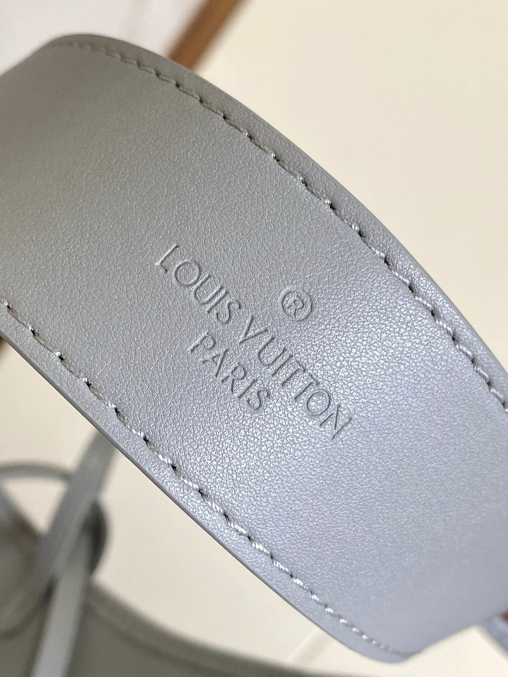 Louis Vuitton M12579 CarryAll Cargo PM