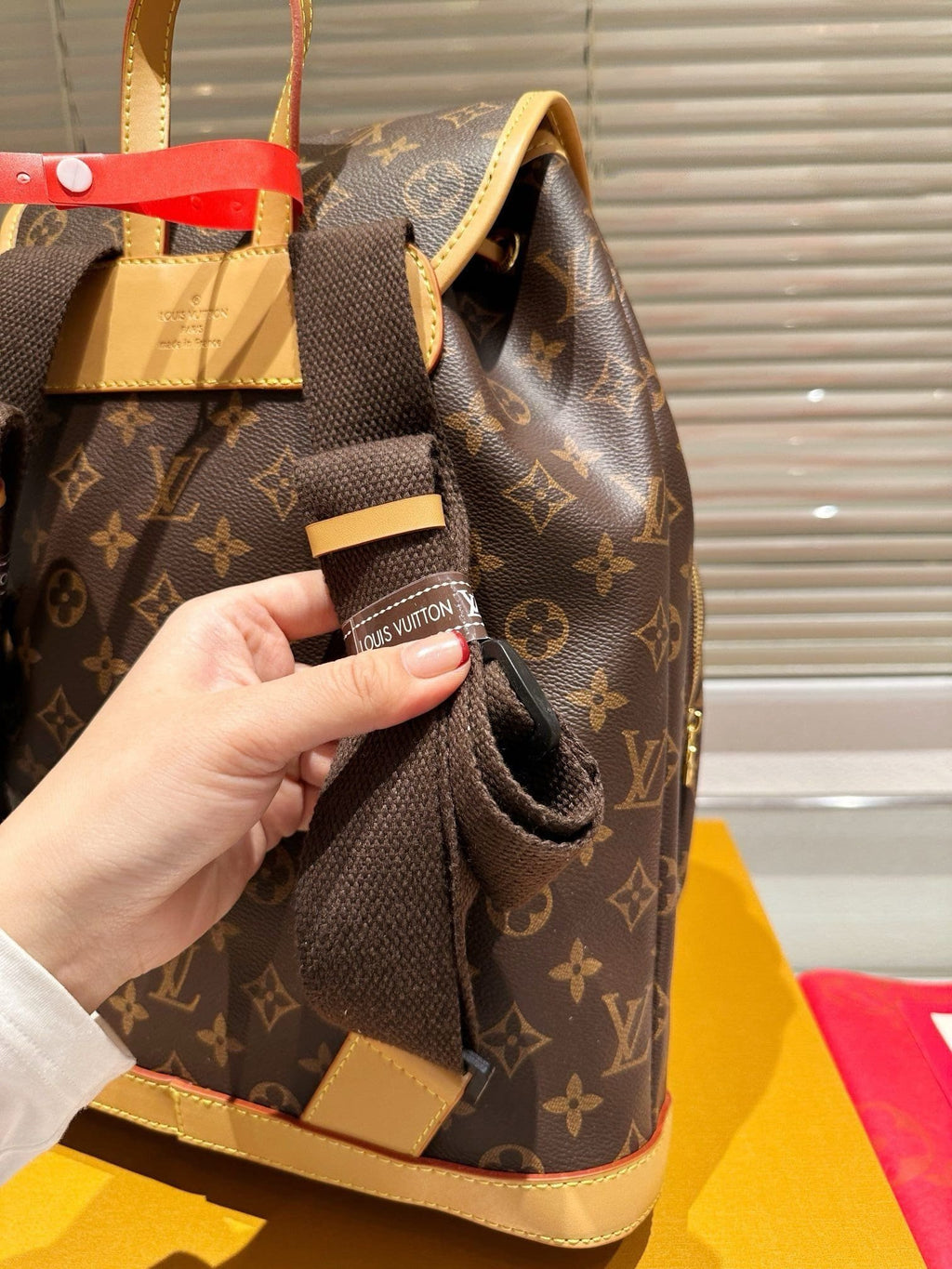 LOUIS VUITTON BACKPACKS