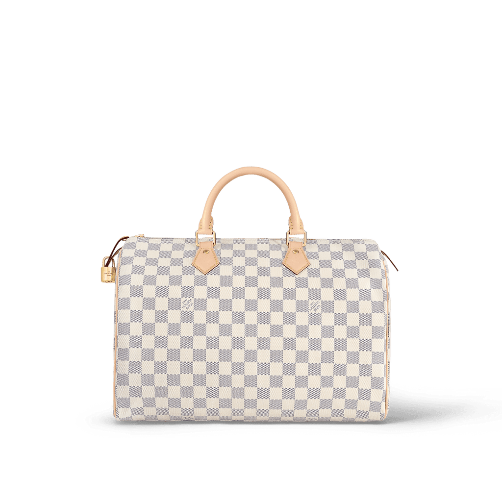 Louis Vuitton N41369 Speedy 35