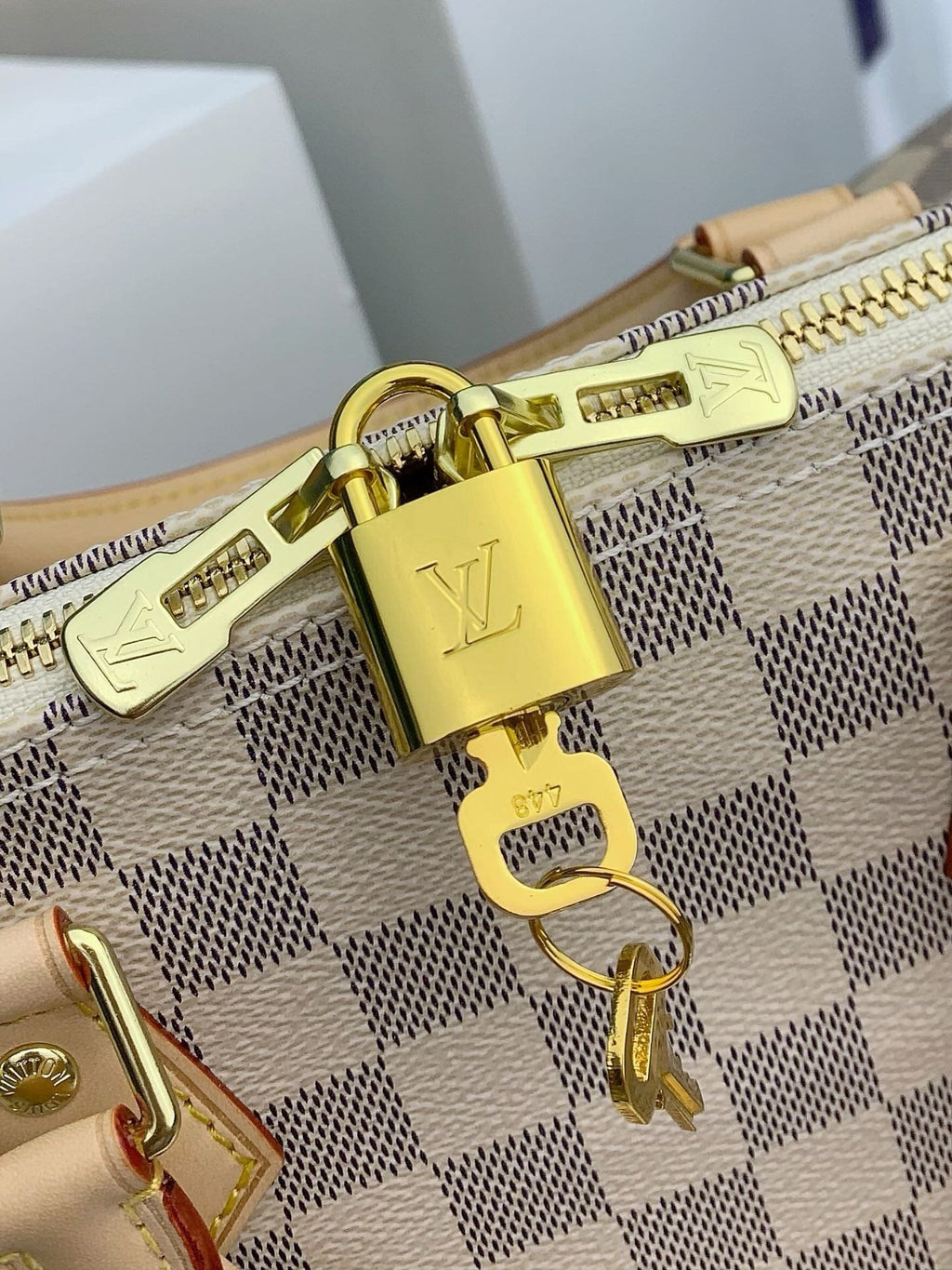 Louis Vuitton Speedy Bandouliere N41373