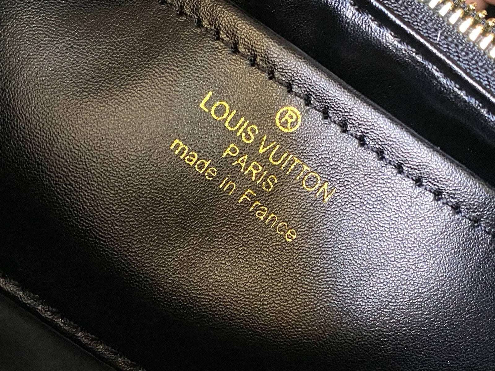 Louis Vuitton M24607 Large CAPUCINES SOUPLE BAG