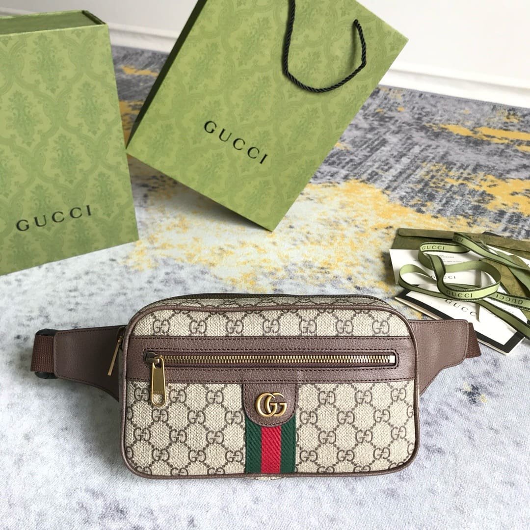 GUCCI Ophidia GG belt bag