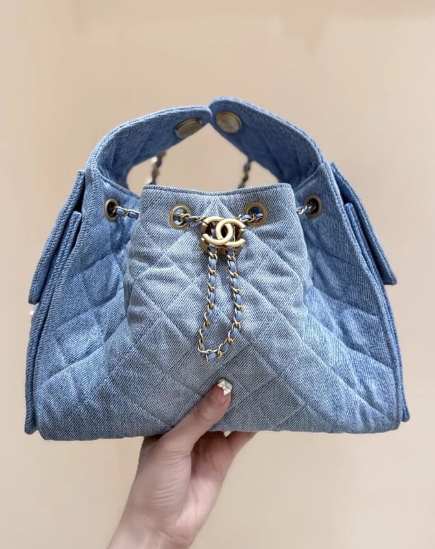 CHANEL 25 Small Handbag