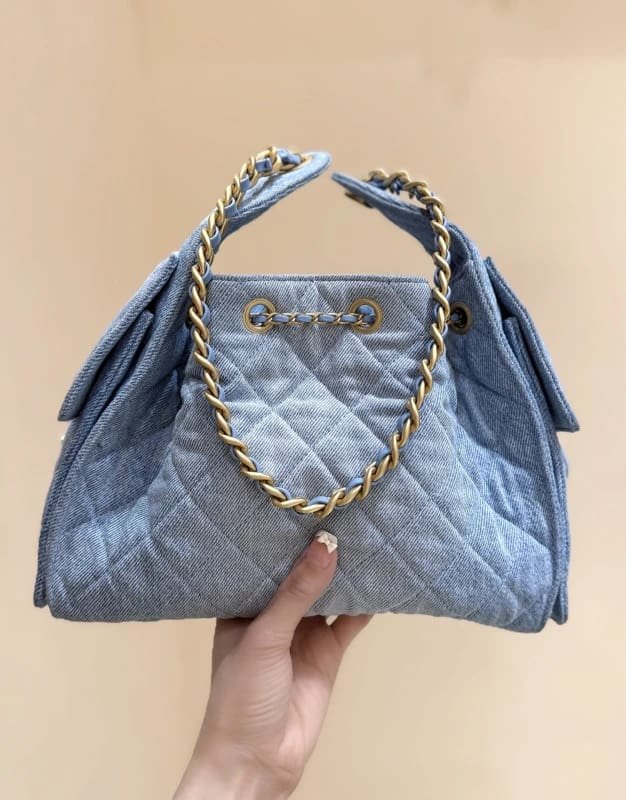 CHANEL 25 Small Handbag