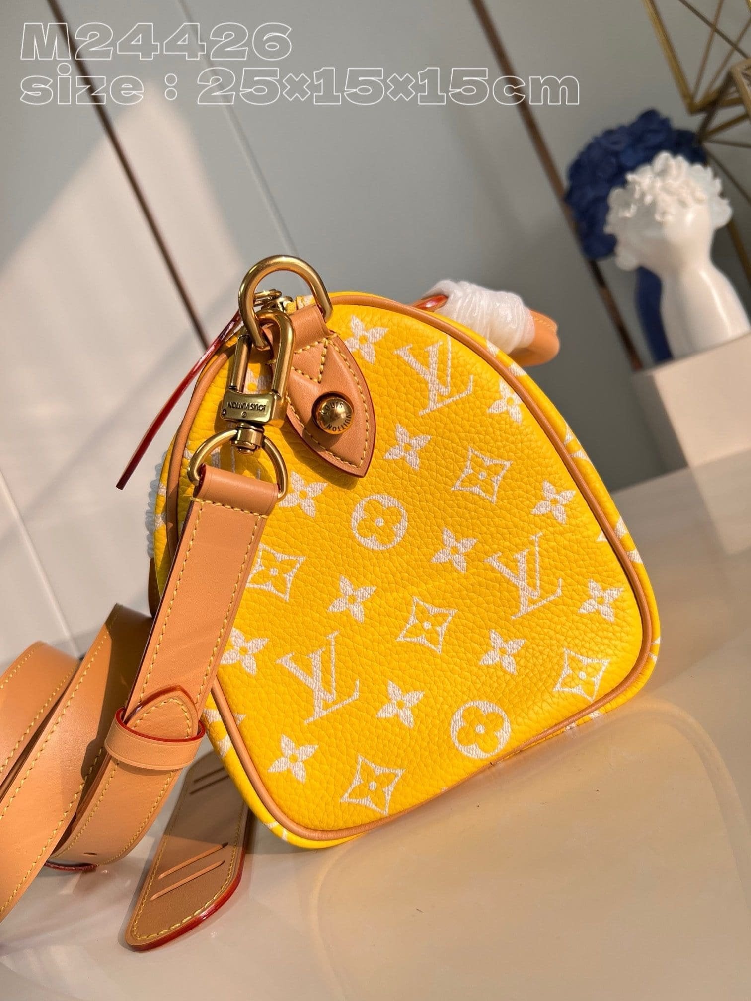 Louis Vuitton M24426 Speedy P9 Bandoulière 25