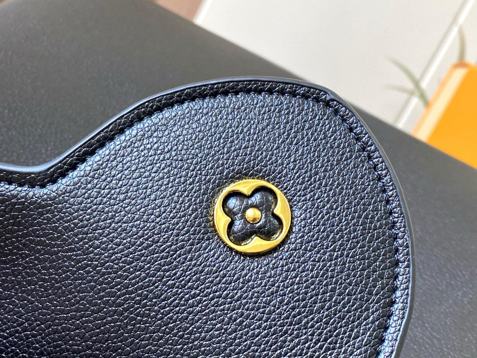 Louis Vuitton M24607 Large CAPUCINES SOUPLE BAG
